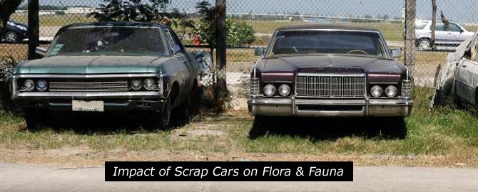 Impact of scrap car
